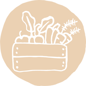 Fruits et légumes déshydratés bio